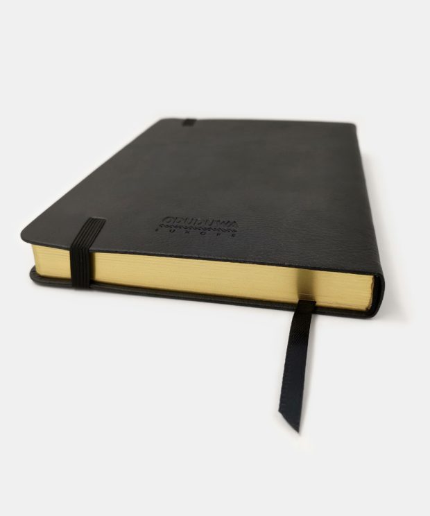 Ẹ̀rìndílógún | Priest’s Journal